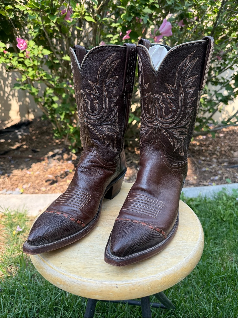 Lucchese 1883 Women's Exotic Western Boots Size 9 B Brown
With Lizard Tips USA - Picture 3 of 15